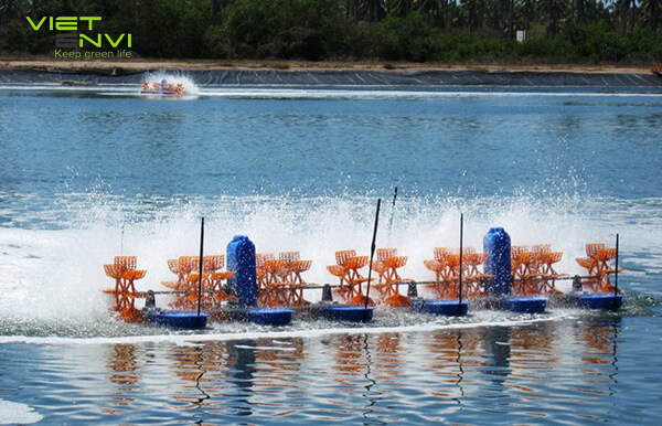 Nước thải ngành thủy sản