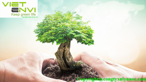 tu van moi truong da lat