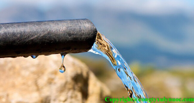 Dự án xử lý nước thải thủy sản Nam Việt