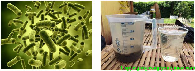 Hệ thống xử lý nước thải bằng công nghệ sinh học