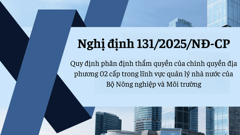 Nghị định 131/2025/NĐ-CP