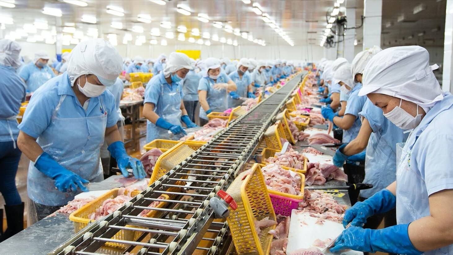 thuy san DAI TAY DUONG