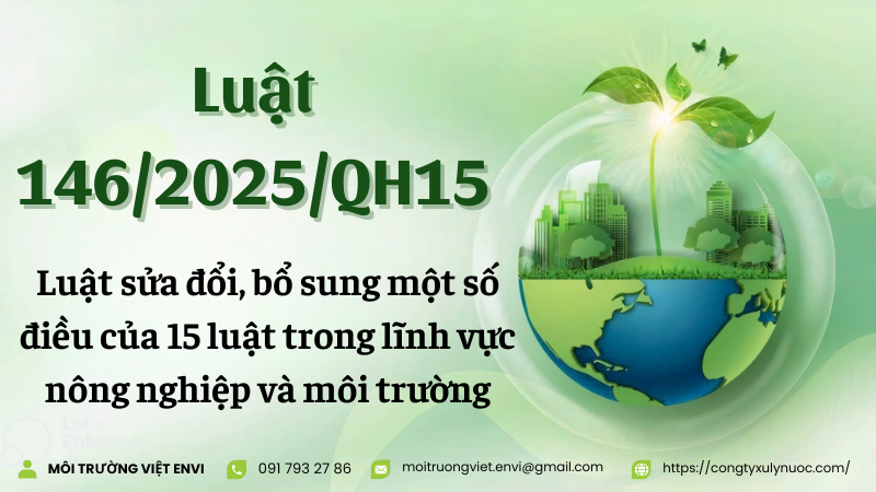 Luat 146 2025 QH15 2026