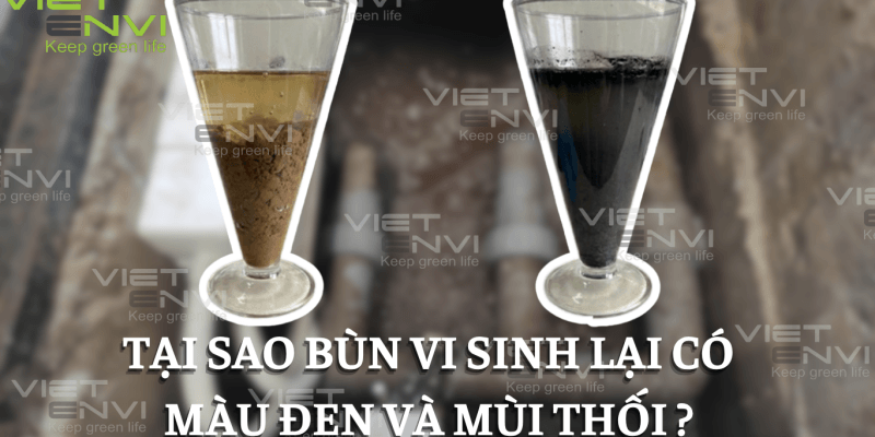 Tại sao bùn vi sinh lại có màu đen và mùi thối?