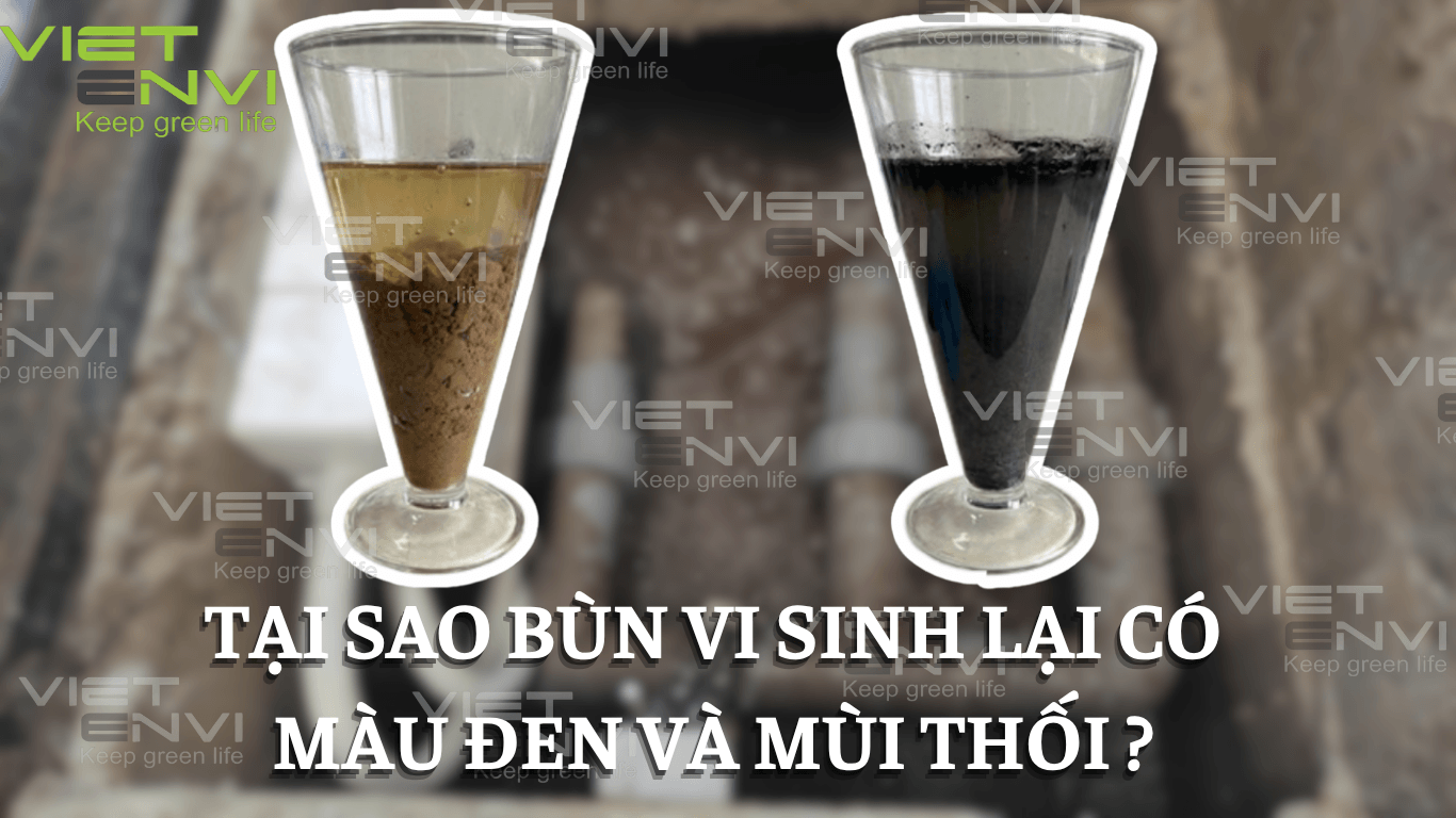 Tại sao bùn vi sinh lại có màu đen và mùi thối?
